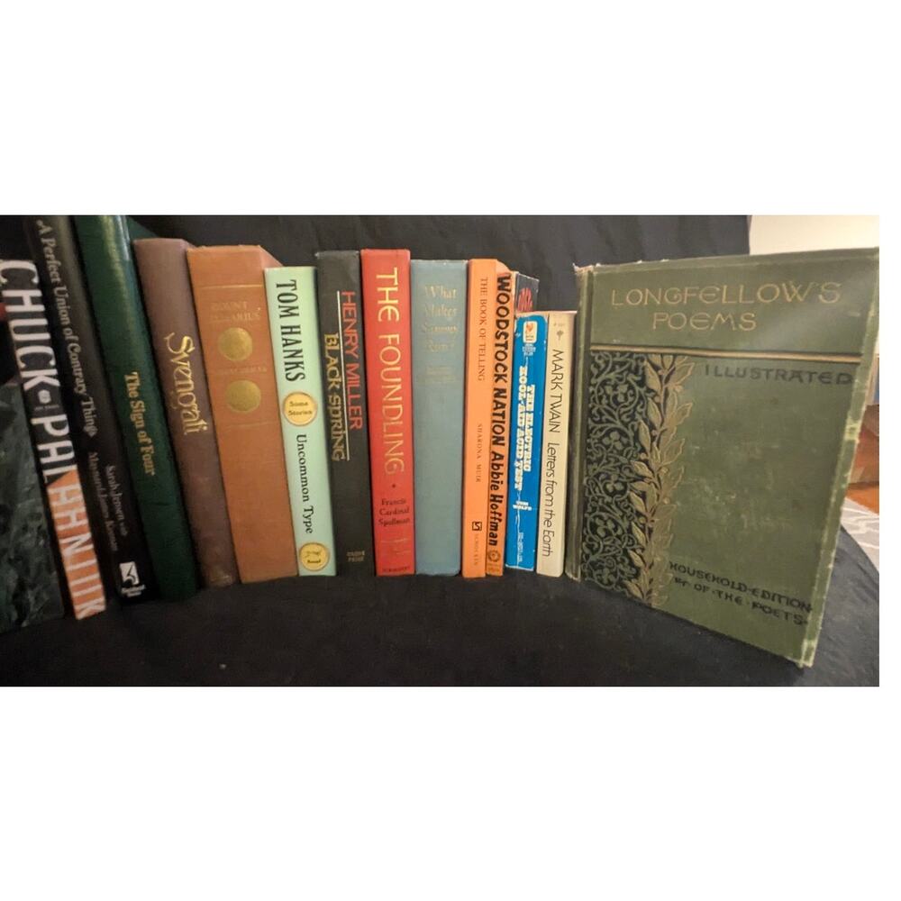Modern & Vintage Fiction & Literature Book Lot + 12 Books